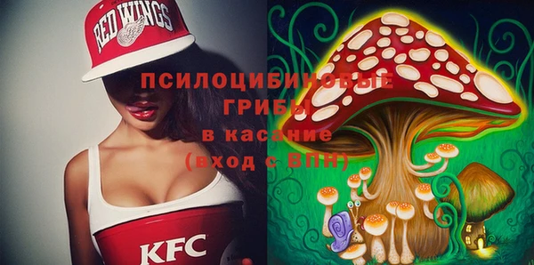 метамфетамин Богданович
