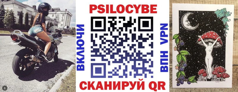 Псилоцибиновые грибы мицелий  дарк нет телеграм  Долгопрудный 
