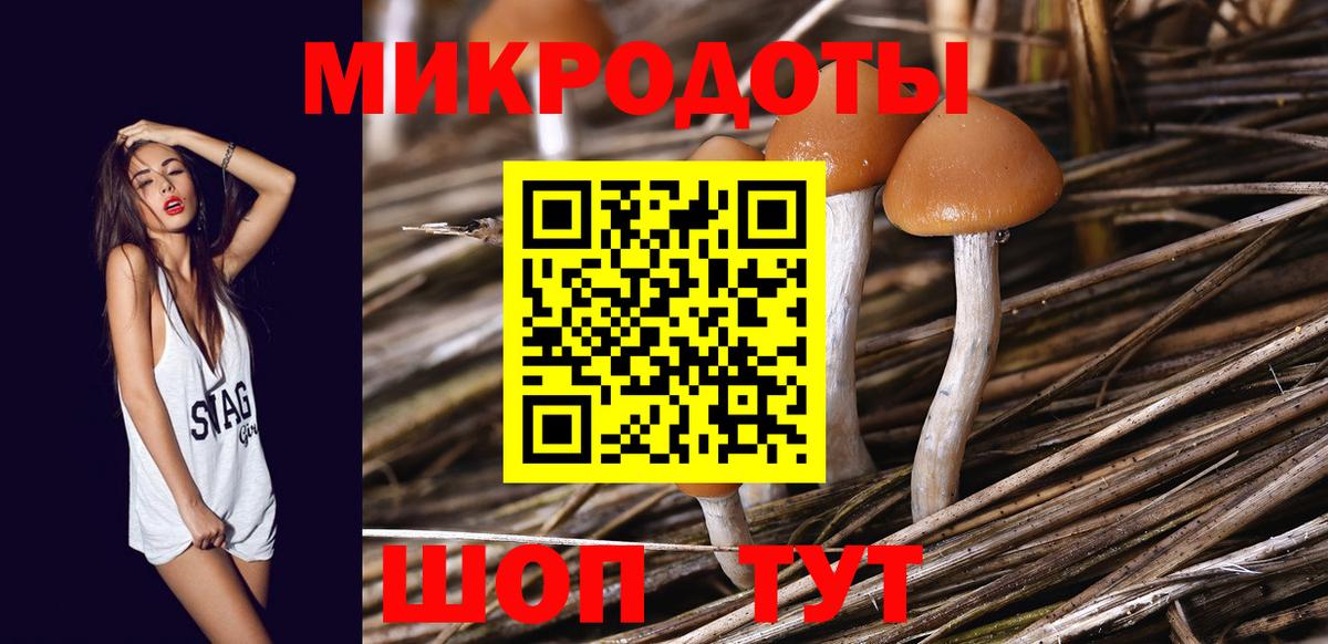 Псилоцибиновые грибы мухоморы Долгопрудный